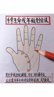手掌生命线有分叉好吗 生命线分叉有哪些含义