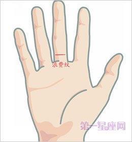 手掌纹图解有哪些 怎么看手相是什么意思