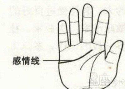 手掌纹图解有哪些 怎么看手相是什么意思