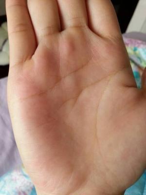 手掌纹路很多很乱怎么回事到底好不好