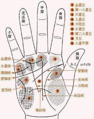 手掌纹路杂乱分几种 手掌纹路杂乱的人命运好吗