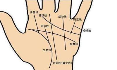 手相3种不同形状的感情线代表着什么