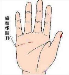 手相“断掌”解读运势 看断掌的人一生命运