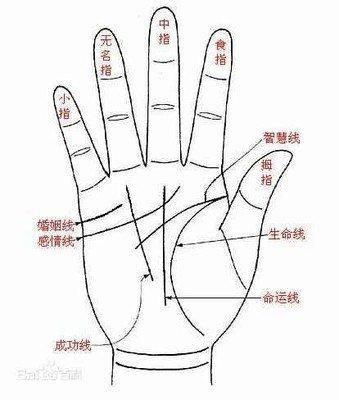 手相三条婚姻线详解 婚姻线手相说明什么
