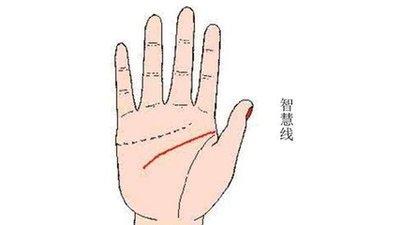 手相中智慧线代表什么 智慧线手相的含义分析