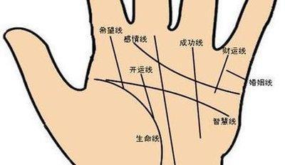 手相中生命线的解释 手中的生命线有什么含义