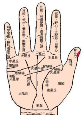 手相中的感情线如何看 手中的感情线意味着什么