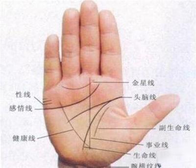 手相事业应该如何看你拥有什么样的事业