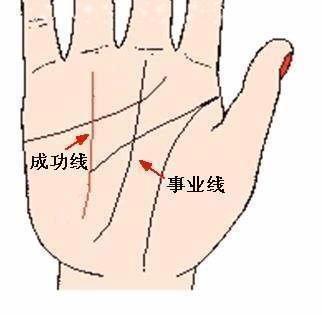 手相事业线怎么看 你手中的事业线是怎样