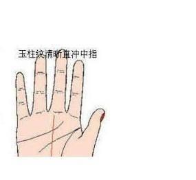 手相事业线曲折是什么意思 事业线曲折好吗