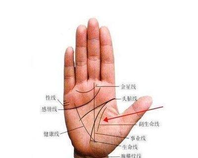 手相事业线短代表什么 事业线短好不好