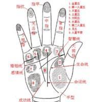 怎样通过手相看命运 手相怎么看命运好不好
