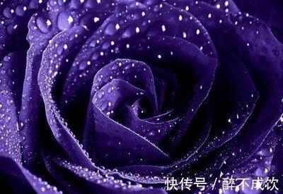 怕失去爱人的星座男 害怕失去爱人的人