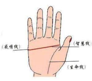 手相分析断掌的人性格如何 你了解断掌的人性格吗