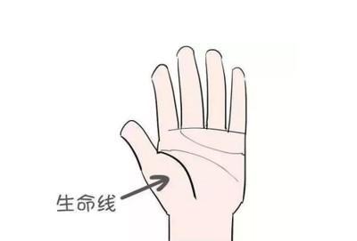 手相分析生命线断裂说明什么 生命线断开有何影响