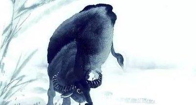 性格冷漠的生肖是哪几个 实在是太冷漠了