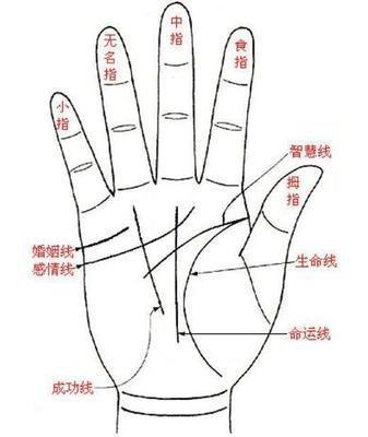 手相命运线断开图解 生命线断开是什么意思