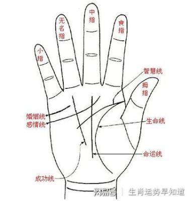 手相图解工作处处碰壁的特征事业男成功 手相图解工作处处碰壁的特征事业男成功