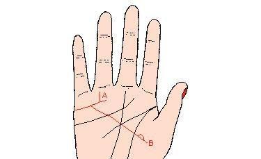 手相图解感情线怎么看 感情线好坏怎么看出来 手相图解感情线怎么看 感情线好坏怎么看出来