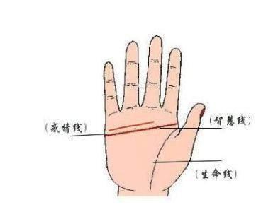 手相图解断掌代表什么意思呢 断掌手相好不好