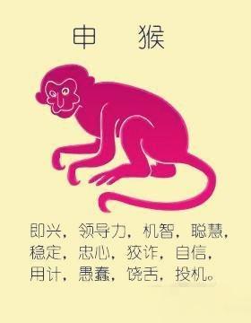 性格比较好的三个生肖属相 这些生肖有好性格