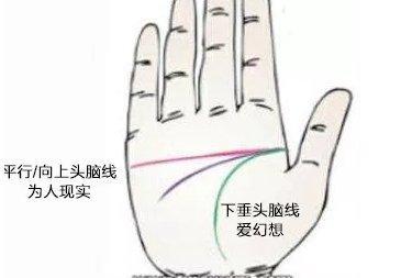 手相图解智慧线分叉代表什么 智慧线分叉的含义有什么