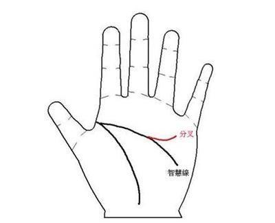 手相图解智慧线分叉代表着什么 智慧线分叉好不好