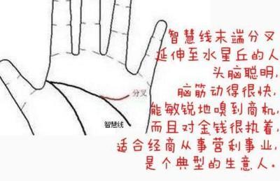 手相图解智慧线分叉代表着什么 智慧线分叉好不好