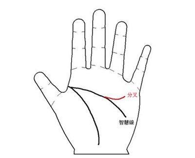 手相图解智慧线分叉代表着什么知道吗
