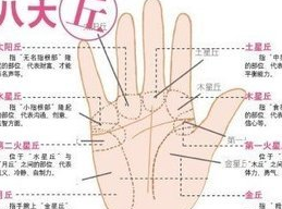 手相图解最富贵的3种手相特征 什么手相的人会富贵