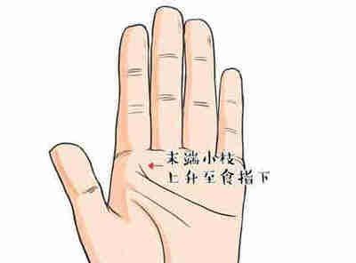 手相图解最富贵的3种手相特征 什么手相的人会富贵