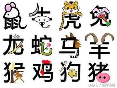 总是埋怨的生肖 爱抱怨的生肖是哪几个