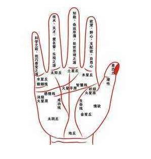 手相婚姻线断开图解 婚姻线断开有何影响