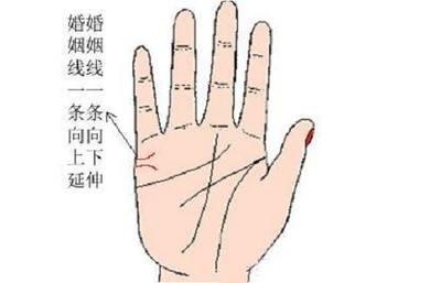 手相婚姻线看你婚姻是否幸福 手中婚姻线如何看