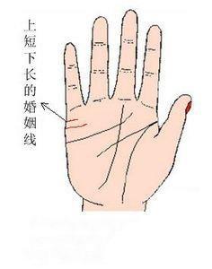 手相婚姻线详解 手中的婚姻线代表什么