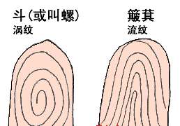 手相学上有4种发财纹 注定发大财手相