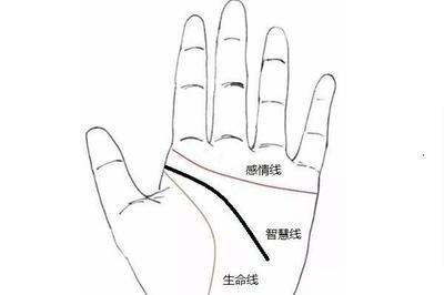 手相学中智慧线长是什么意思到底好不好