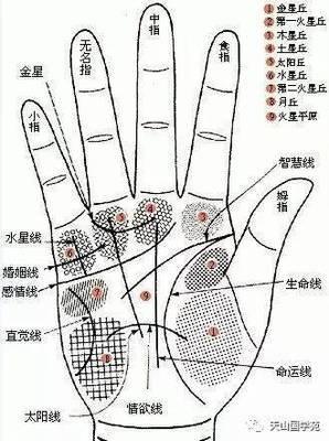 手相尾指长度决定你是什么命运太准了