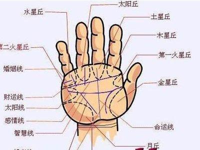 手相怎么看女人的婚姻好不好 女人手相看婚姻怎样