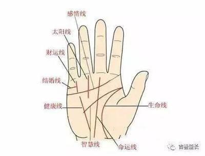手相怎么看财运线好不好 手相财运线图解