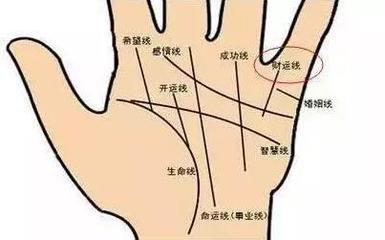 手相怎么看财运线好不好 手相财运线图解