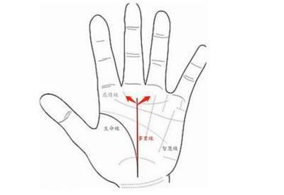 手相感情线有分叉代表什么意思清楚吗