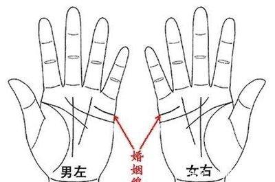 手相感情线看婚姻 感情线看你婚姻是否幸福