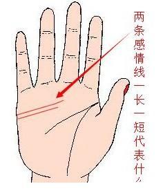 手相感情线解析大全 如何看手中的感情线