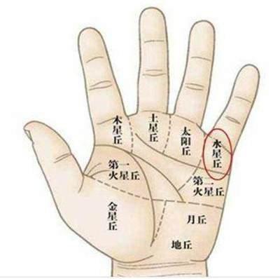 手相手上的财运线代表什么 财运线手相意味着什么