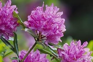 摩羯座男生喜欢什么样类型的女生甜蜜幸福