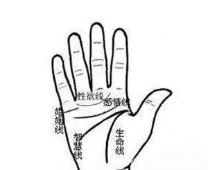 手相手纹乱有什么解释 手纹乱是什么意思