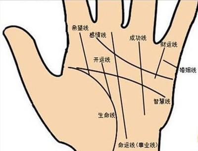 手相手纹看命运 怎样的手纹代表命好