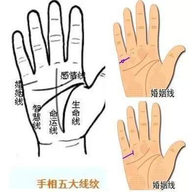 手相手纹看命运 怎样的手纹代表命好