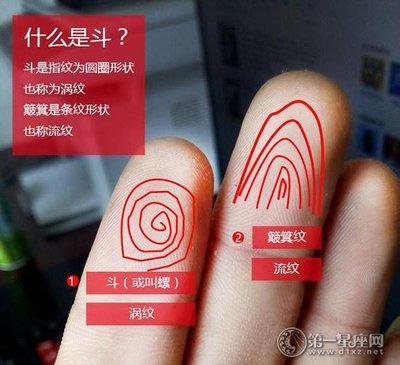 手相指纹图解大全,五个手指指纹怎么看